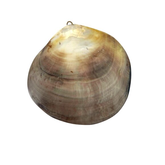 Natural Polished Mother Of Pearl Sea Shell Pendant Charm For Necklace Craft - Picture 2 of 6